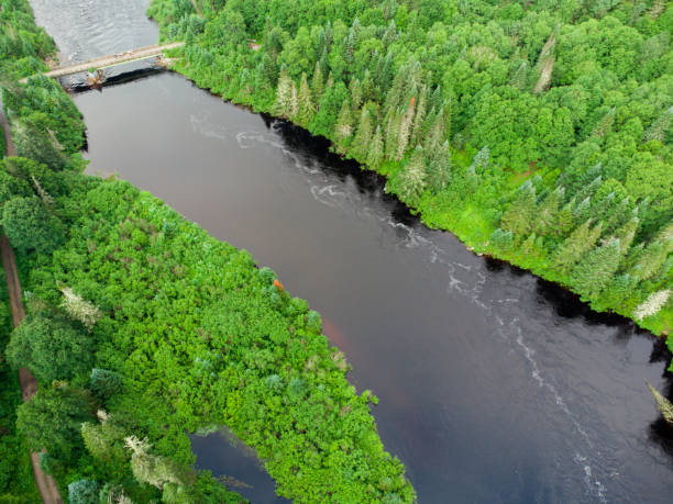 istock Aerial view of Jacques Cartier River 1515330390
