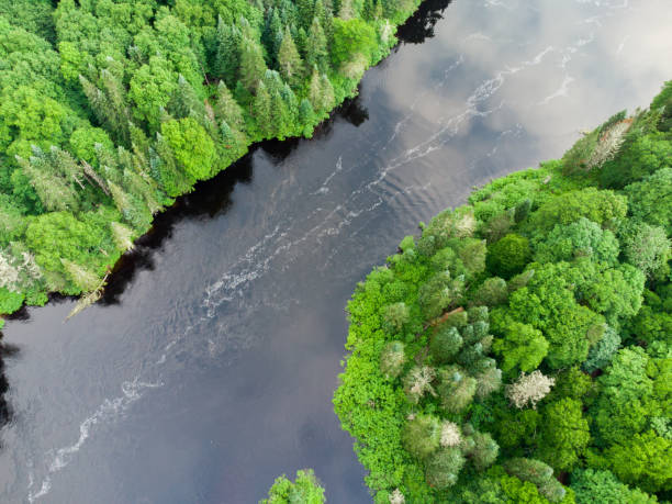 istock Aerial view of Jacques Cartier River 1515332086