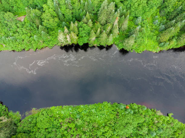 istock Aerial view of Jacques Cartier River 1515332634