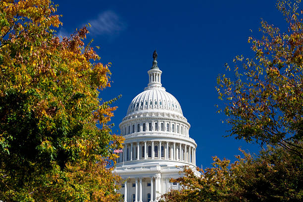istock Capitol Building Framed Autumn Foliage Washington DC, Polarized Filter 151533494