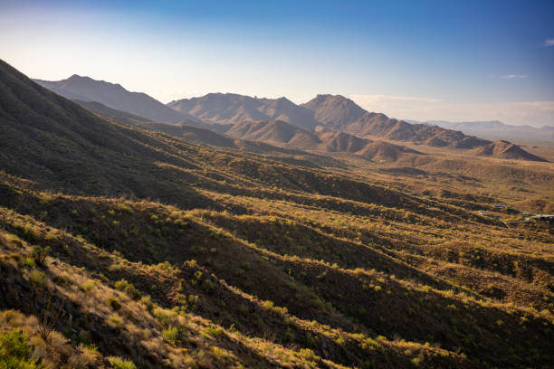 deserto ii - hiking sonoran desert arizona desert - fotografias e filmes do acervo