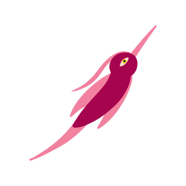 Cute weird red bird. A bizarre fairy-tale firebird Cute weird red bird. A bizarre fairy-tale firebird, Illustration in modern childish hand drawn style firebird logo stock illustrations