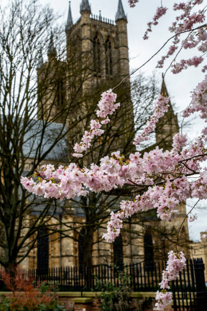 istock Cherry blossoms herald spring in Lincoln. 1515339805