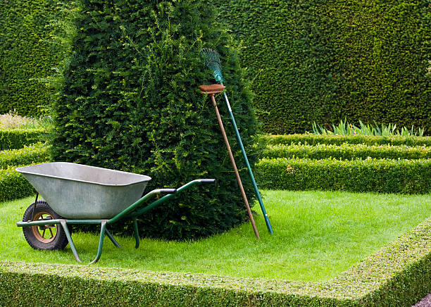 Gardening Tools In An English Knot Garden. Gardening Tools. lawn rake, wheel barrow, and brush in an English Knot Garden with copy space. knot garden stock pictures, royalty-free photos & images