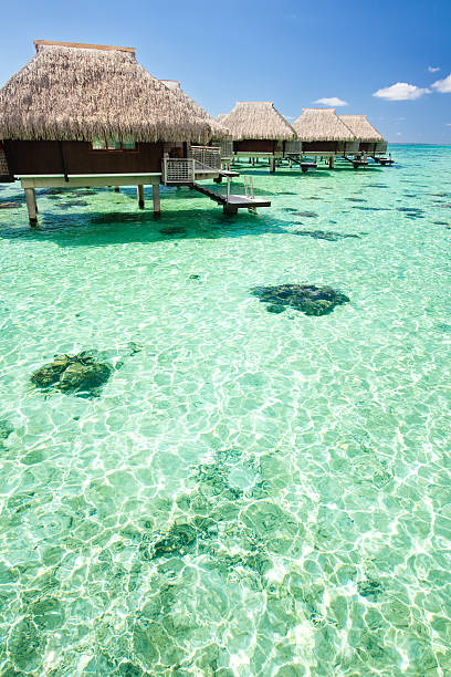 istock Over water bungalow with steps into green lagoon 151534038