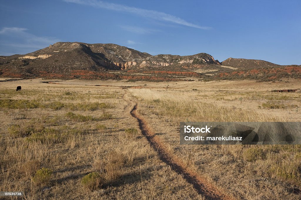 Rind trail in Colorado mountain valley - Lizenzfrei Gebirge Red Mountains Stock-Foto