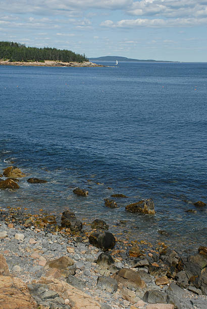 istock Blue sea and rocky beach at Acadia 151535201