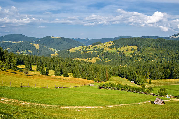 istock Green grass field landscape 151535287