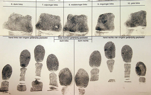 fingerprints fingerprint ( from photographer) made by Dutch police detainee stock pictures, royalty-free photos & images