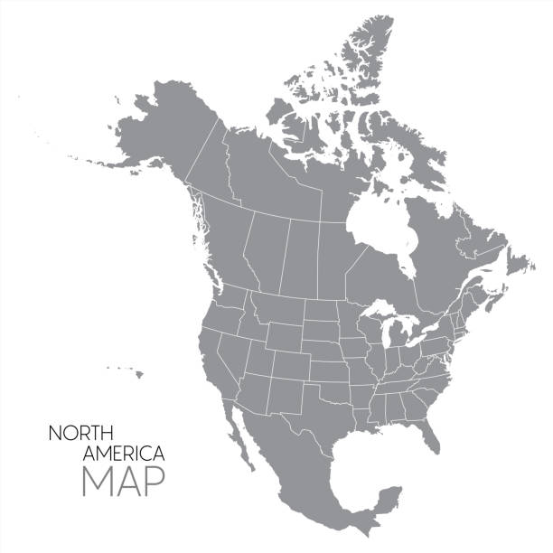 ilustrações de stock, clip art, desenhos animados e ícones de north american continent with contours of countries. vector drawing, vector 10 eps. - topography globe usa the americas