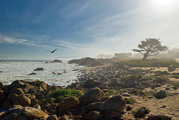 Foggy spiaggia - foto stock