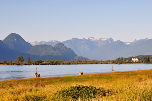Pitt river and fall color wetland,  mountain in background