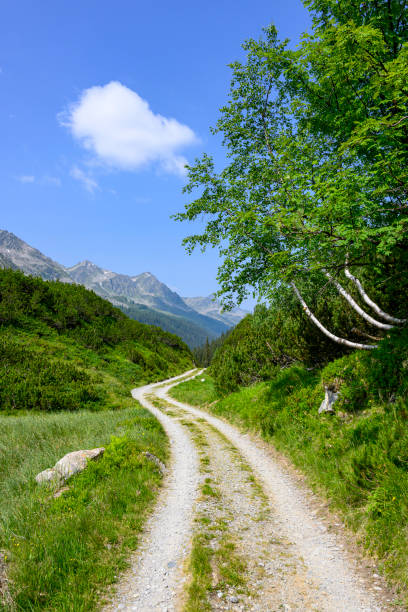 Winding mountain road Winding mountain road in the Alps. Silbertal, Montafon, Vorarlberg silbertal stock pictures, royalty-free photos & images