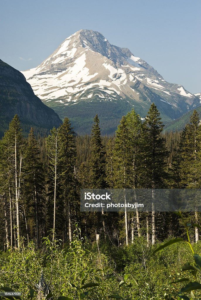 Ansicht von Glacier National Park - Lizenzfrei Baum Stock-Foto
