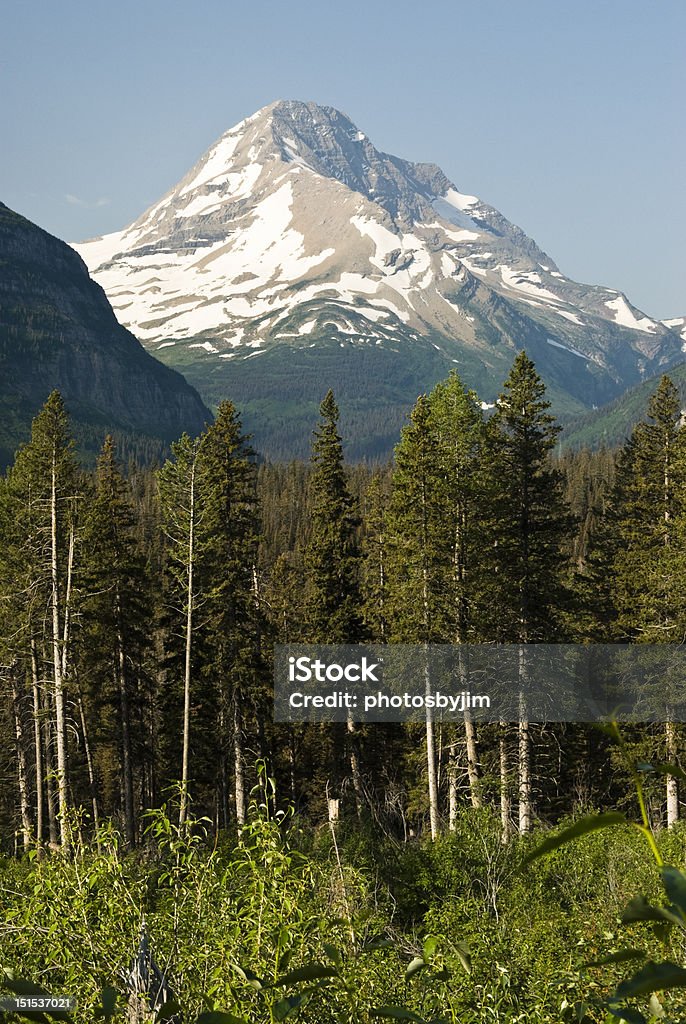 Вид на Национальный парк Глейшер - Стоковые фото Going-to-the-Sun Road роялти-фри