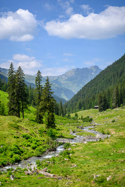 istock Landscape with footbridge above a stream 1515370594