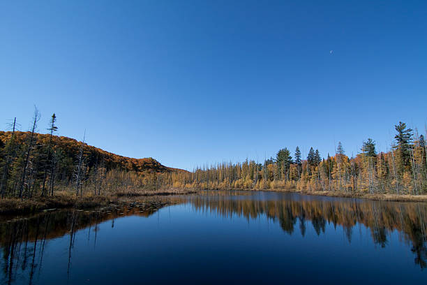 Autumn Lake stock photo