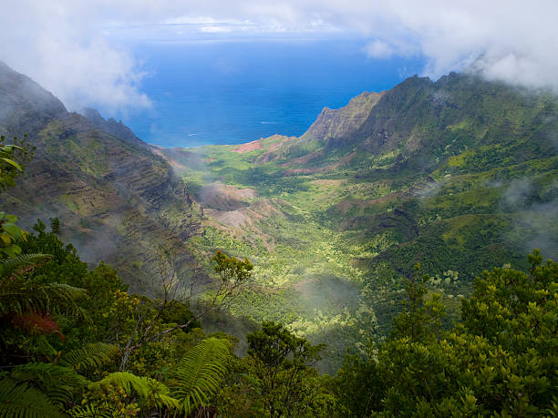 istock Kalalau Valley from Pihea Trail 151537832