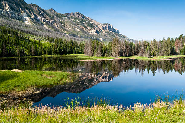 reflections in a lake along Chief Joseph Scenic Byway in Wyoming.