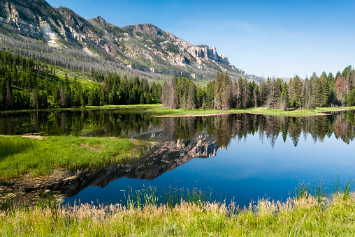 reflections in a lake along Chief Joseph Scenic Byway in Wyoming.