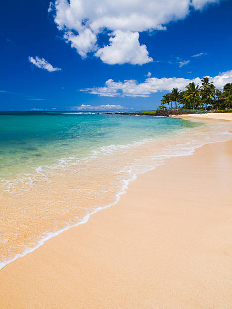istock Poipu Beach Park at Kauai, Hawaii 151538537