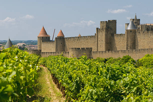 istock Medieval town of Carcassonne and vineyards 151538773