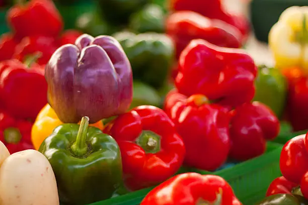 Fresh peppers at Ottawa produce market
