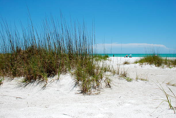 istock Beach Scene with Sea Oats 151540195