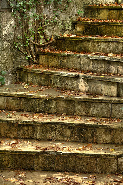 istock Fallen Leaves on Old Stairs - Autumn Scene 151541457