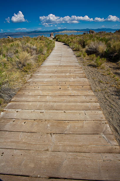 Wood Walkway To Mono Lake Marshlands Between Tufa Limestone Rocks