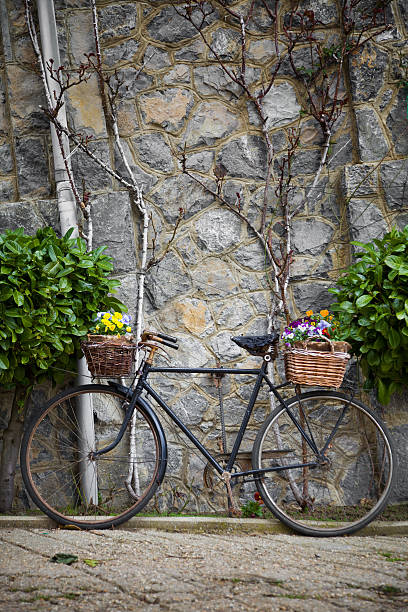 istock Vintage bicycle with bunches of flowers 151542436