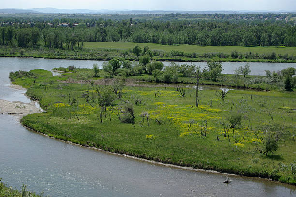 istock Island in the Bow River 151542540