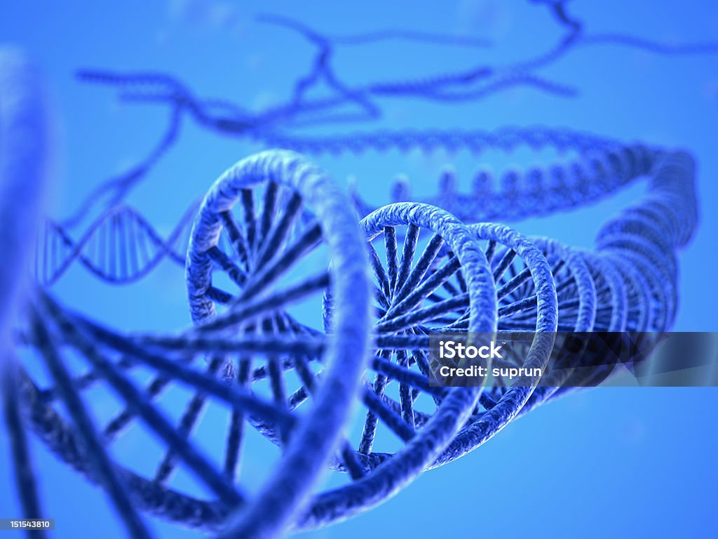 Sistema de ADN - Foto de stock de ADN libre de derechos