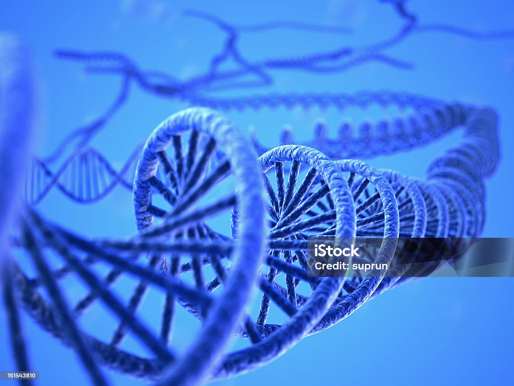 DNA del sistema - Foto stock royalty-free di DNA
