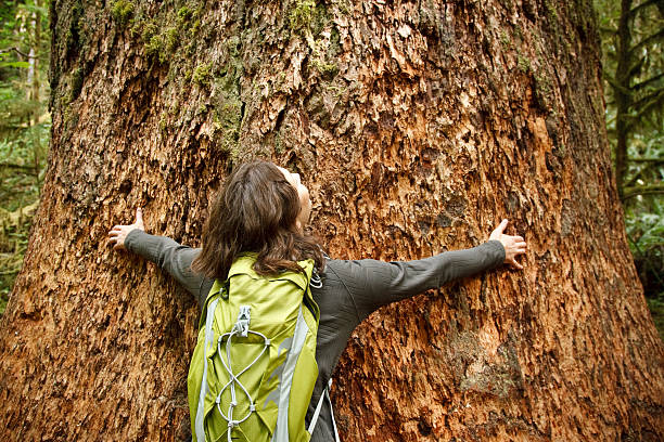 Tree Hug stock photo