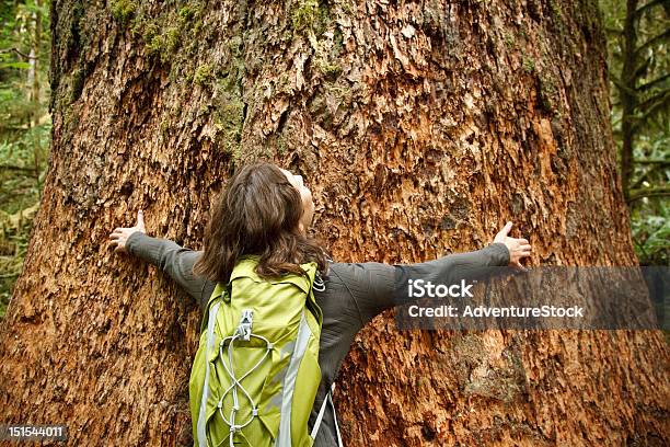 Tree Hug Stock Photo - Download Image Now - Washington State, Admiration, Adult