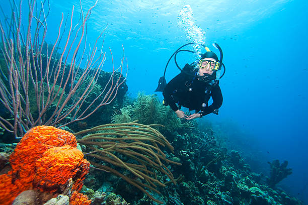 istock Scuba diver swimming over coral reef  151544161