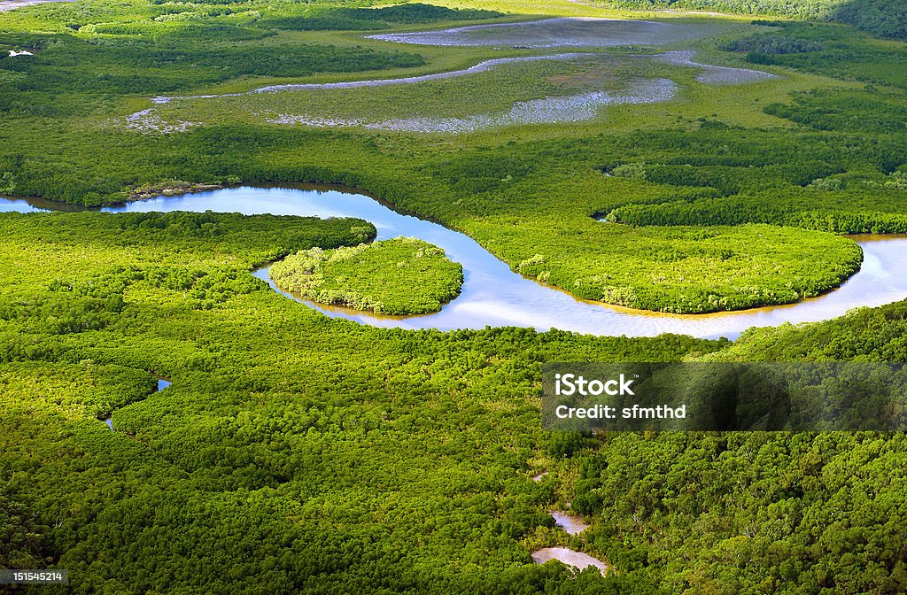 Luftbild von üppigen Küstensumpfgebiete - Lizenzfrei Feuchtgebiet Stock-Foto