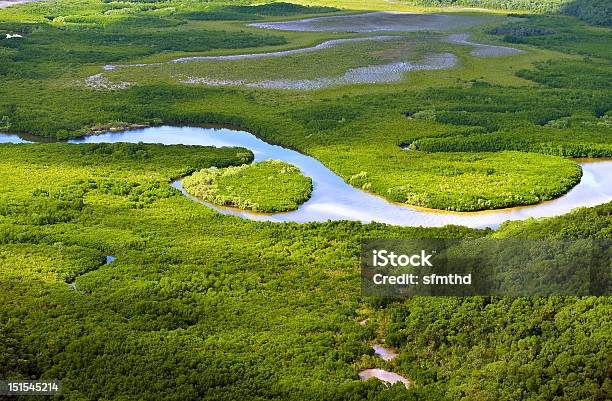 Luftbild Von Üppigen Küstensumpfgebiete Stockfoto und mehr Bilder von Feuchtgebiet - Feuchtgebiet, Australien, Kanal