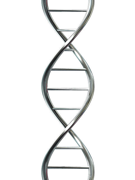 Abstract illustration of DNA double helix on white stock photo