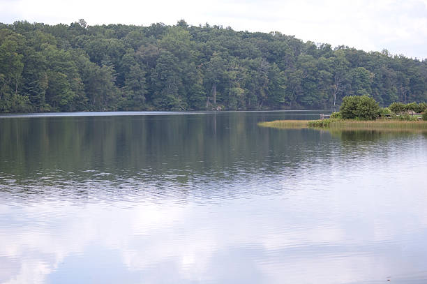 istock Lake backing up to woods 151545486