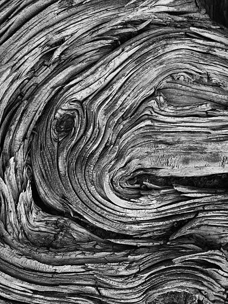 Gnarled Wood Grain black and white wood grain. Image taken with a Canon S60 gnarly wood texture stock pictures, royalty-free photos & images