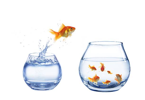 istock jump to company 151546263
