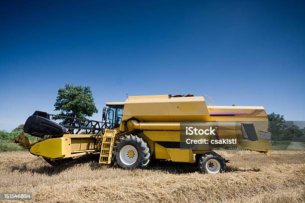 Amarillo Combinación Foto de stock y más banco de imágenes de Agricultura - Agricultura, Aire libre, Amarillo - Color