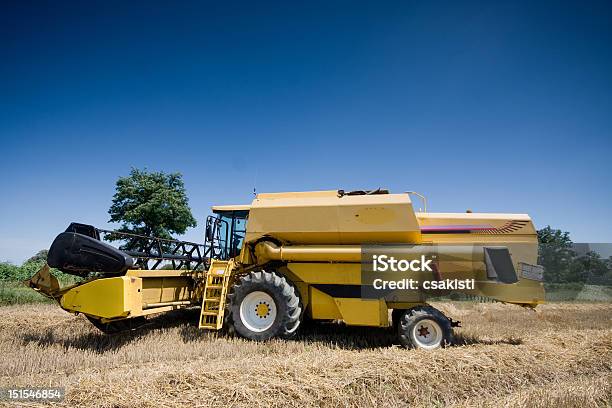 Amarelo Combinar - Fotografias de stock e mais imagens de Agricultura - Agricultura, Amarelo, Ao Ar Livre