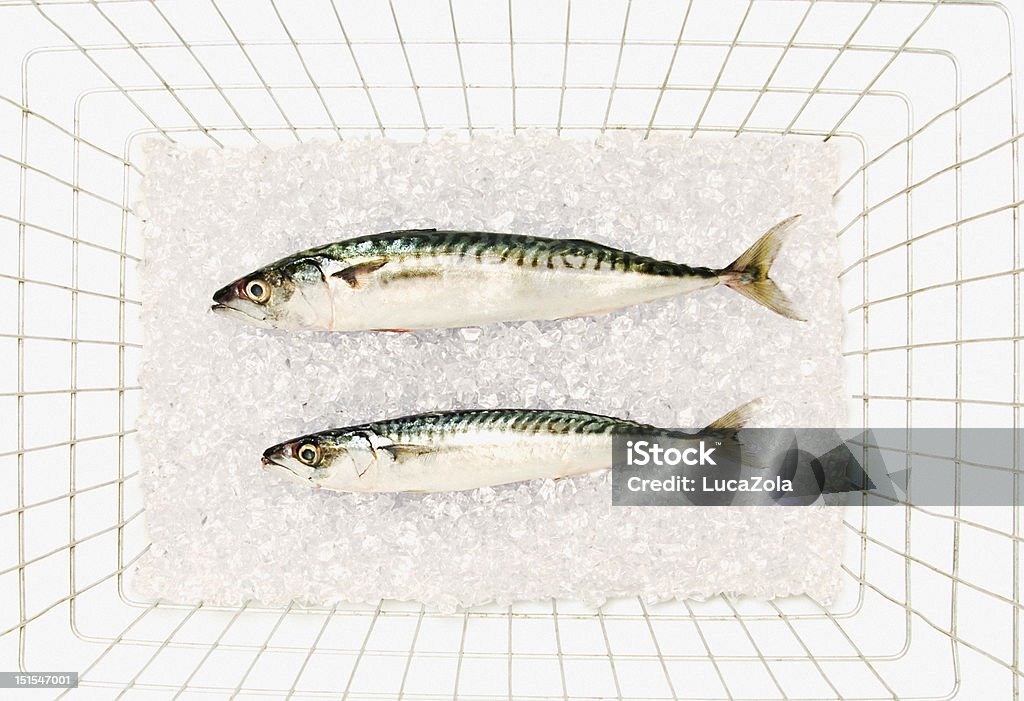 Dos caballa sobre hielo en cesta de compras - Foto de stock de Aceite de hígado de pescado libre de derechos