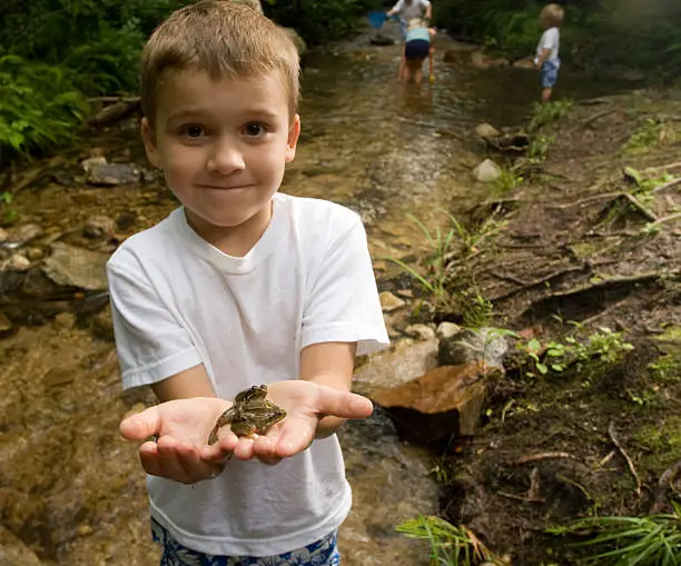 Photo of Little boy holding a frog in his hands