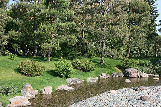 Rocky Stream stock photo