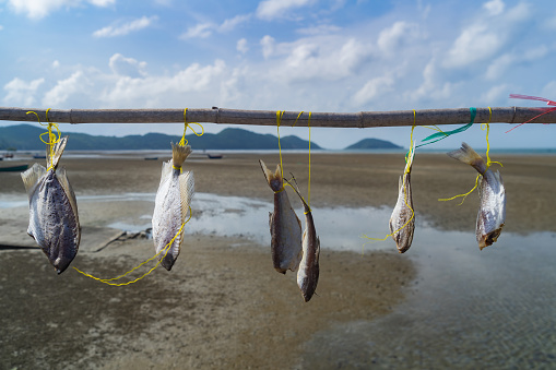 Simple rural fisherman's drying of fish using a hanging rope in a seaside village in Thailand. beautiful clouds and sky