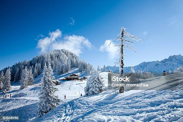 Esqui Alpino3 - Fotografias de stock e mais imagens de Abeto - Abeto, Alpes Europeus, Alto - Descrição Física